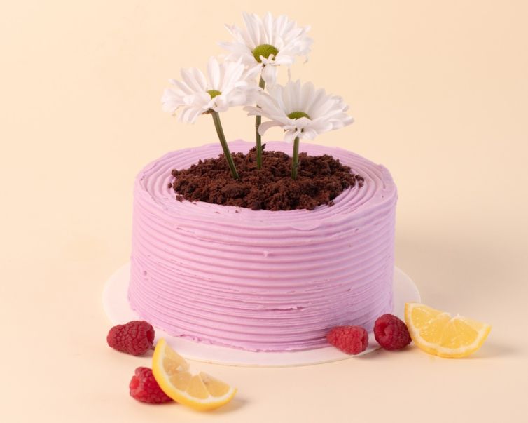 Pastel de Frambuesa