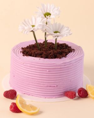Pastel de Frambuesa