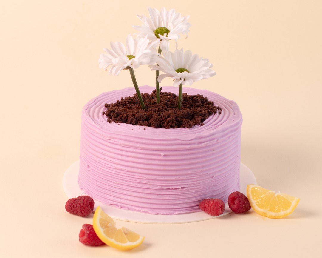 Pastel de Frambuesa